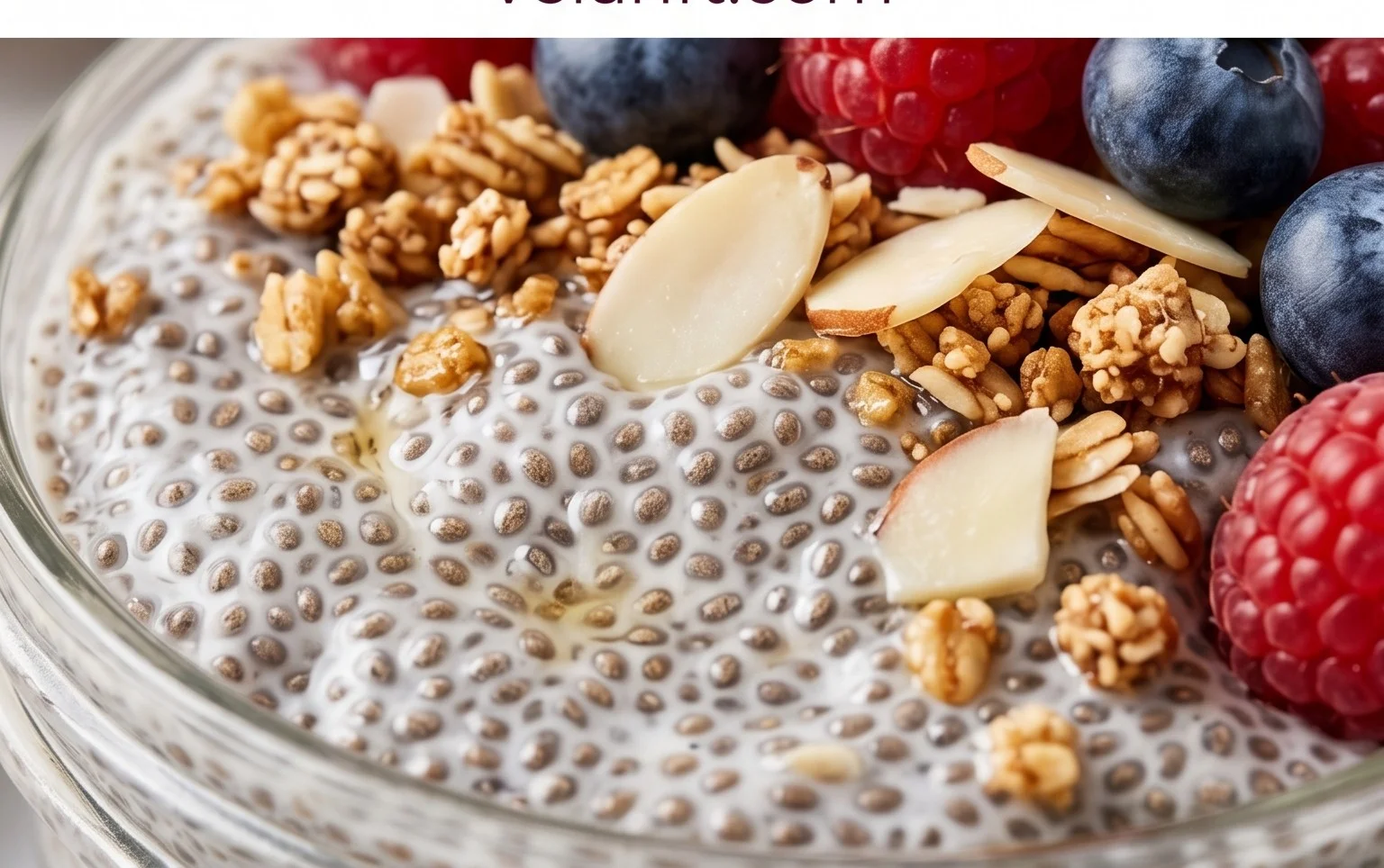 Chia Seed Pudding Recipe